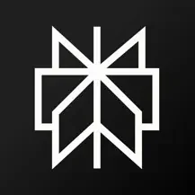 Perplexity APP